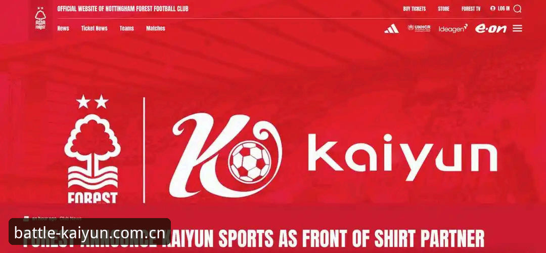 揭秘kaiyun体育品牌认证背后的实用价值：资深玩家经验谈